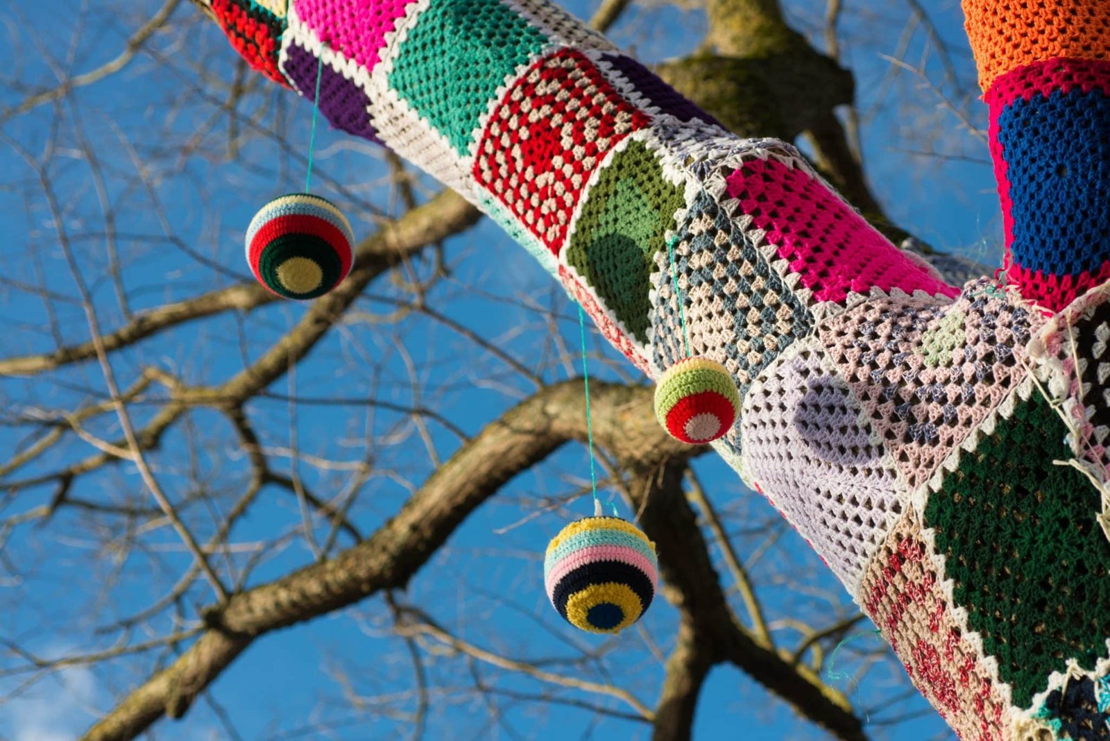 arbre décoré de tricot coloré - yarn bombing